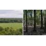 19&plus; Acre Hideaway, Featuring Of Open &amp; Wooded Land, Timber, Wildlife, Nature, Palmyra Twp., Portage Co.&nbsp;