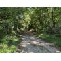 30 Acres Wooded Land
Desirable Location, Zoned R-MD
