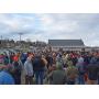 
	Live Consignment Auction, Antiques, Jewelry, Tools

	&nbsp;
