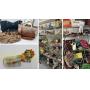 Designer Handbags, Antiques, Collectibles, Glassware, Home D&eacute;cor
