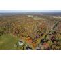 
	23&plus; Acres Wooded Vacant Land, Wildlife, Recreation, Oil &amp; Gas Income

	&nbsp;
