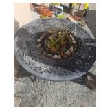 Fire Pit w Several Cactus