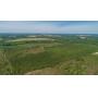 116+/- Acre Recreational Tract - Tift County, Georgia