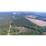 81+/- Acres and Lodge located in Turner County, Georgia