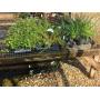 Retirement Auction: Equipment and Remaining Inventory of NeSmith Nursery