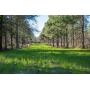 359+/- Acre Pristine Lee County Plantation Tract