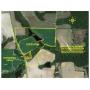 133+/- Acres Row Crop Farmland Opportunity Irwin County, Georgia