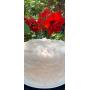Titus Ranch Spring Cake Auction