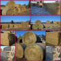 DODGE JANUARY ONLINE HAY AUCTION - Dodge, WI